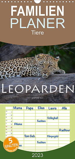Kalender Familienplaner Leoparden - groß und klein (Wandkalender 2023 , 21 cm x 45 cm, hoch) von Robert Styppa