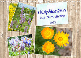 Kalender Heilpflanzen aus dem Garten (Wandkalender 2023 DIN A4 quer) von Kerstin Waurick