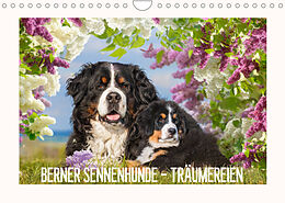 Kalender Berner Sennenhunde - Träumereien (Wandkalender 2023 DIN A4 quer) von Sigrid Starick