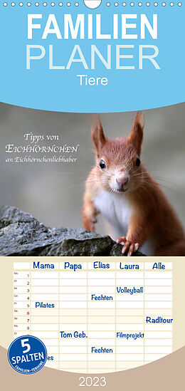 Kalender Familienplaner Tipps von Eichhörnchen an Eichhörnchenliebhaber (Wandkalender 2023 , 21 cm x 45 cm, hoch) von Birgit Cerny