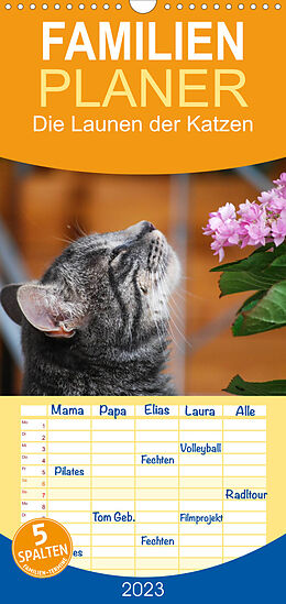 Kalender Familienplaner Die Launen der Katzen 2023 (Wandkalender 2023 , 21 cm x 45 cm, hoch) von Anna Kropf