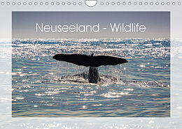 Kalender Neuseeland - Wildlife (Wandkalender 2023 DIN A4 quer) von Peter Schürholz