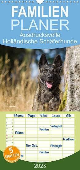 Kalender Familienplaner ausdrucksvolle Holländische Schäferhunde (Wandkalender 2023 , 21 cm x 45 cm, hoch) von Fotodesign Verena Scholze