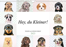 Kalender Hey, du Kleiner! (Wandkalender 2023 DIN A4 quer) von Natalie Eckelt