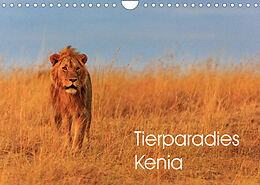 Kalender Tierparadies Kenia (Wandkalender 2023 DIN A4 quer) von David Oberholzer