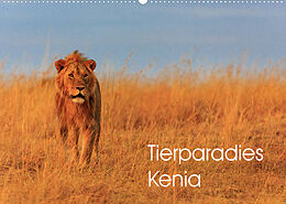 Kalender Tierparadies Kenia (Wandkalender 2023 DIN A2 quer) von David Oberholzer