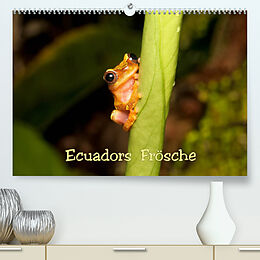 Kalender Ecuadors Frösche (Premium, hochwertiger DIN A2 Wandkalender 2023, Kunstdruck in Hochglanz) von Eerika Schulz