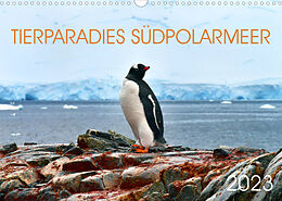 Kalender Tierparadies Südpolarmeer (Wandkalender 2023 DIN A3 quer) von Manfred Bergermann
