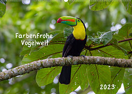 Kalender Farbenfrohe Vogelwelt (Wandkalender 2023 DIN A2 quer) von Marion Springer
