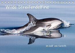 Kalender Wilde Streifendelfine im Golf von Korinth (Tischkalender 2023 DIN A5 quer) von Jörg Bouillon