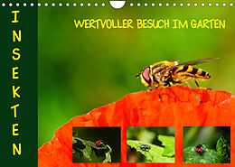 Kalender Insekten - wertvolle Gäste im Garten (Wandkalender 2023 DIN A4 quer) von Brinja Schmidt