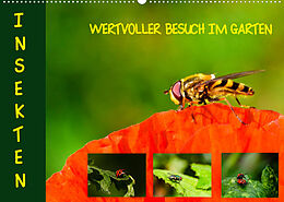 Kalender Insekten - wertvolle Gäste im Garten (Wandkalender 2023 DIN A2 quer) von Brinja Schmidt