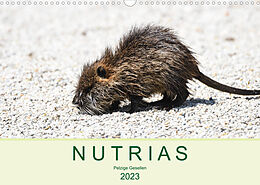 Kalender NUTRIAS - Pelzige Gesellen (Wandkalender 2023 DIN A3 quer) von ROBERT STYPPA