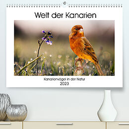 Kalender Welt der Kanarien (Premium, hochwertiger DIN A2 Wandkalender 2023, Kunstdruck in Hochglanz) von AkremaFotoArt