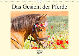 Kalender Das Gesicht der Pferde (Wandkalender 2023 DIN A4 quer) von Elke Laage