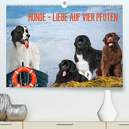 Kalender Hunde - Liebe auf vier Pfoten (Premium, hochwertiger DIN A2 Wandkalender 2023, Kunstdruck in Hochglanz) von Sigrid Starick