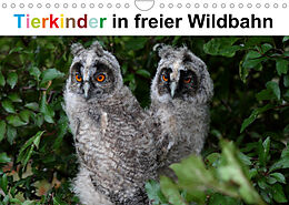 Kalender Tierkinder in freier Wildbahn (Wandkalender 2023 DIN A4 quer) von Günter Bachmeier