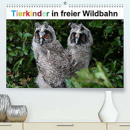 Kalender Tierkinder in freier Wildbahn (Premium, hochwertiger DIN A2 Wandkalender 2023, Kunstdruck in Hochglanz) von Günter Bachmeier