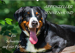 Kalender Appenzeller Sennenhund - Ein Schweizer auf 4 Pfoten (Wandkalender 2023 DIN A2 quer) von Sigrid Starick