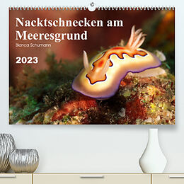 Kalender Nacktschnecken am Meeresgrund (Premium, hochwertiger DIN A2 Wandkalender 2023, Kunstdruck in Hochglanz) von Bianca Schumann