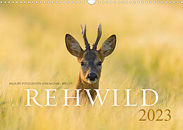 Kalender Rehwild 2023 (Wandkalender 2023 DIN A3 quer) von Michael Breuer