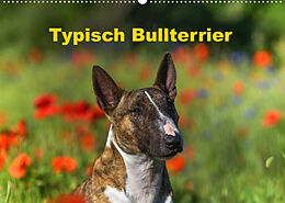 Kalender Typisch Bullterrier (Wandkalender 2023 DIN A2 quer) von Yvonne Janetzek