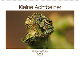 Kalender Kleine Achtbeiner (Wandkalender 2023 DIN A2 quer) von Wolfgang Kairat