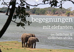 Kalender begegnungen - elefanten im südlichen afrika (Wandkalender 2023 DIN A3 quer) von rsiemer