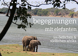 Kalender begegnungen - elefanten im südlichen afrika (Tischkalender 2023 DIN A5 quer) von rsiemer
