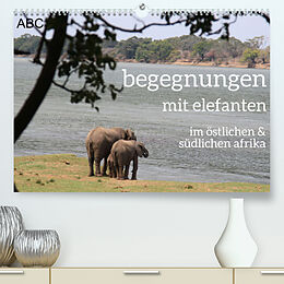 Kalender begegnungen - elefanten im südlichen afrika (Premium, hochwertiger DIN A2 Wandkalender 2023, Kunstdruck in Hochglanz) von rsiemer