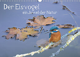 Kalender Der Eisvogel ein Juwel der Natur (Wandkalender 2023 DIN A3 quer) von Rufotos