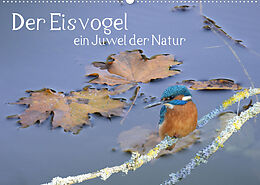 Kalender Der Eisvogel ein Juwel der Natur (Wandkalender 2023 DIN A2 quer) von Rufotos