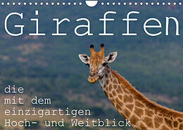 Kalender Giraffen - Tiere mit dem einzigartigen Hoch- und Weitblick (Wandkalender 2023 DIN A4 quer) von rsiemer