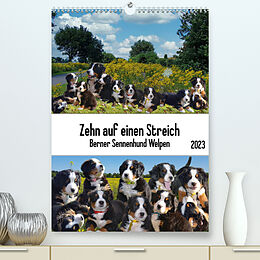 Kalender Zehn auf einen Streich (Premium, hochwertiger DIN A2 Wandkalender 2023, Kunstdruck in Hochglanz) von Claudia Kleemann