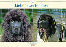 Kalender Neufundländer Liebenswerte Bären (Wandkalender 2023 DIN A4 quer) von Claudia Kleemann