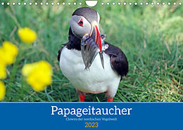 Kalender Papageitaucher - Clowns der nordischen Vogelwelt (Wandkalender 2023 DIN A4 quer) von Reinhard Pantke