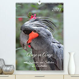 Kalender Auge in Auge mit Kakadus und Sittichen aus Australien (Premium, hochwertiger DIN A2 Wandkalender 2023, Kunstdruck in Hochglanz) von Claudia Kleemann