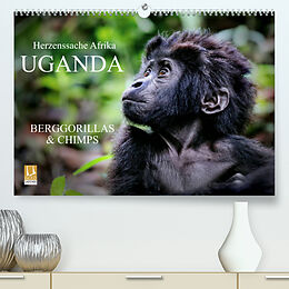 Kalender UGANDA - Berggorillas &amp; Chimps (Premium, hochwertiger DIN A2 Wandkalender 2023, Kunstdruck in Hochglanz) von Wibke Woyke