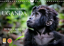 Kalender UGANDA - Berggorillas &amp; Chimps (Wandkalender 2023 DIN A4 quer) von Wibke Woyke