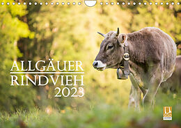 Kalender Allgäuer Rindvieh 2023 (Wandkalender 2023 DIN A4 quer) von Juliane Wandel