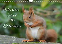 Kalender Mein kleiner Freund das Eichhörnchen (Wandkalender 2023 DIN A4 quer) von Rufotos