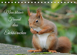 Kalender Mein kleiner Freund das Eichhörnchen (Tischkalender 2023 DIN A5 quer) von Rufotos