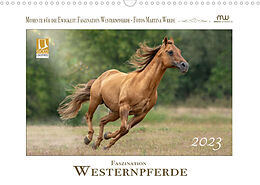 Kalender Faszination Westernpferde (Wandkalender 2023 DIN A3 quer) von Martina Wrede - Wredefotografie