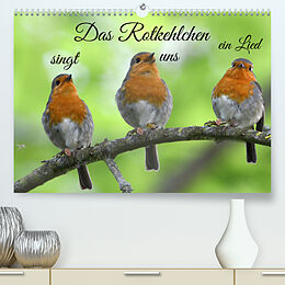 Kalender Das Rotkehlchen singt uns ein Lied (Premium, hochwertiger DIN A2 Wandkalender 2023, Kunstdruck in Hochglanz) von Rufotos