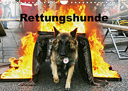 Kalender Rettungshunde (Wandkalender 2023 DIN A4 quer) von Ulf Mirlieb