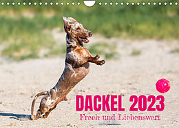 Kalender DACKEL 2023 Frech und Liebenwert (Wandkalender 2023 DIN A4 quer) von Annett Mirsberger tierpfoto