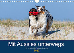 Kalender Mit Aussies unterwegs - Die bunte Welt der Australian Shepherds (Wandkalender 2023 DIN A4 quer) von Annett Mirsberger