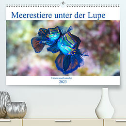 Kalender Meerestiere unter der Lupe - Unterwasserkalender (Premium, hochwertiger DIN A2 Wandkalender 2023, Kunstdruck in Hochglanz) von Sven Gruse