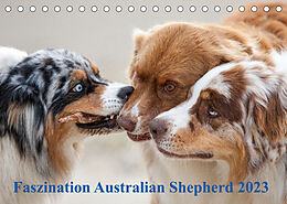 Kalender Australian Shepherd 2023 (Tischkalender 2023 DIN A5 quer) von Annett Mirsberger