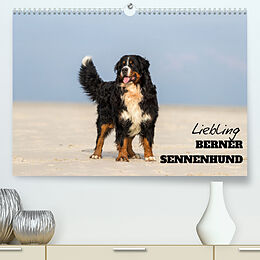 Kalender Liebling BERNER SENNENHUND (Premium, hochwertiger DIN A2 Wandkalender 2023, Kunstdruck in Hochglanz) von Annett Mirsberger, www.annettmirsberger.de